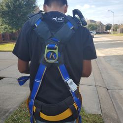 Harness 