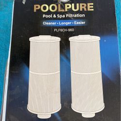 Pool/spa Filters