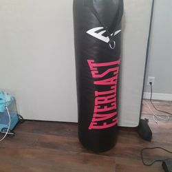 Everlast  Punching Bag,100lb 