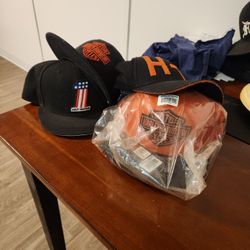 Harley Davidson New Era Caps