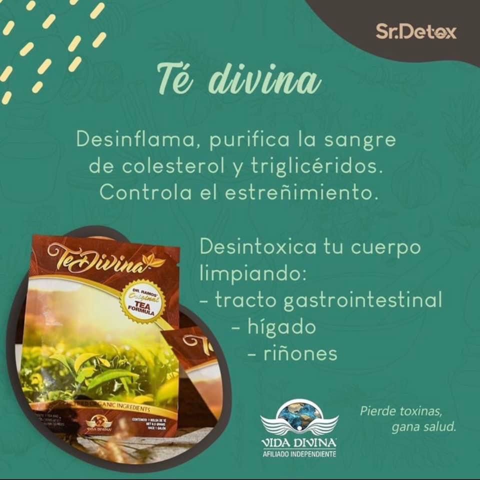 Te Vida Divina