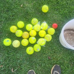 110 Base balls $ 2 aech 20 softballs $2 aech
