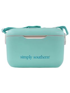 Mini Cooler