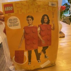 Lego Costume 