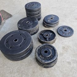 Weight Plates 250lbs Total with Curling Bar