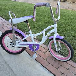 Schwinn Bike