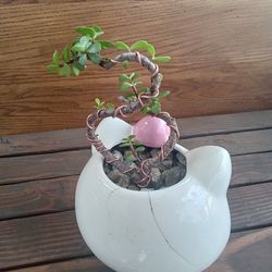 Helio Kitty Pot With Bonsai