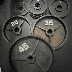 255 lb Cast Iron Weight Plates Set – Standard 2” Hole