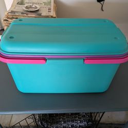 Colorful plastic storage basket. Has a teal bottom, a purple inner tray, and hot pink handles.