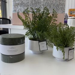 Threshold Mint & Eucalypts Candles and 2 fake plants