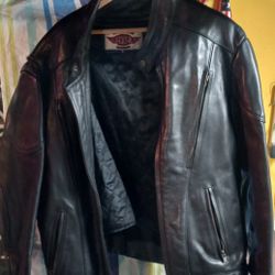 Rider Leather Jacket Like New Worn Twice