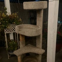 Stand For Cat Or Small Dog 