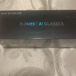 DMES AI Glasses