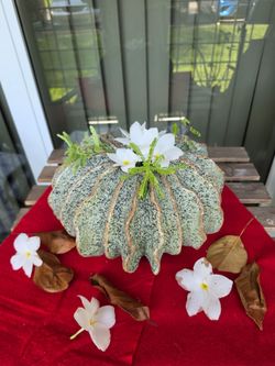Sea Ruffle Urchin Vase,Hand Made Urchin Vase,Green Colours.
Sea Ruffle Urchin Vase is made by a group of women artisans who live at the border of Burm