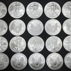 (20) 2008 American Silver Eagles 