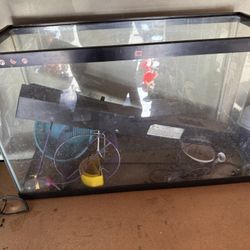 Tank With Accessories 