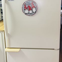 Refrigerator In Great Condition 