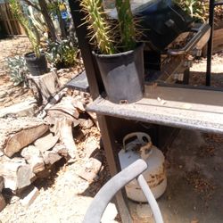 Succulent Cacti Aloes