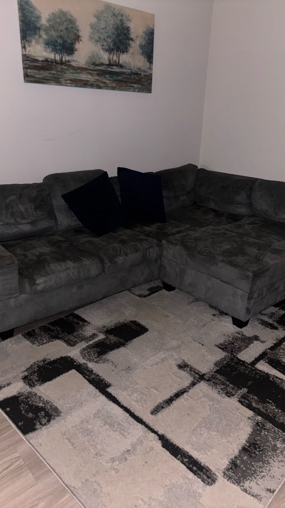 Microfiber Couch