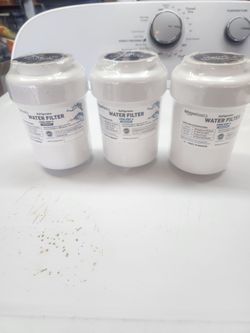 Refrigerator Filters 