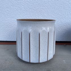 Plant Pot 