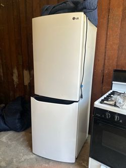 LG 24 inch wide refrigerator