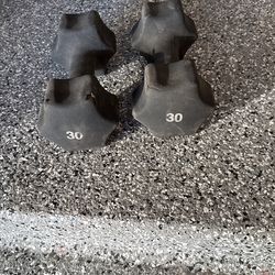 30 Lb Dumbells