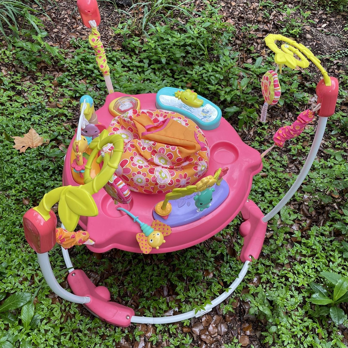 Fisher-Price Jumperoo, Petals Pink