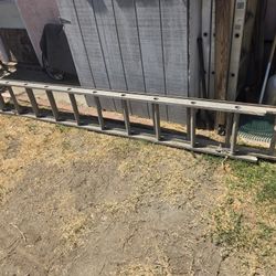 Ladder / Escalera