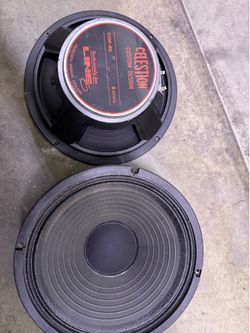 Celestine 12” speaker GIOP-  80