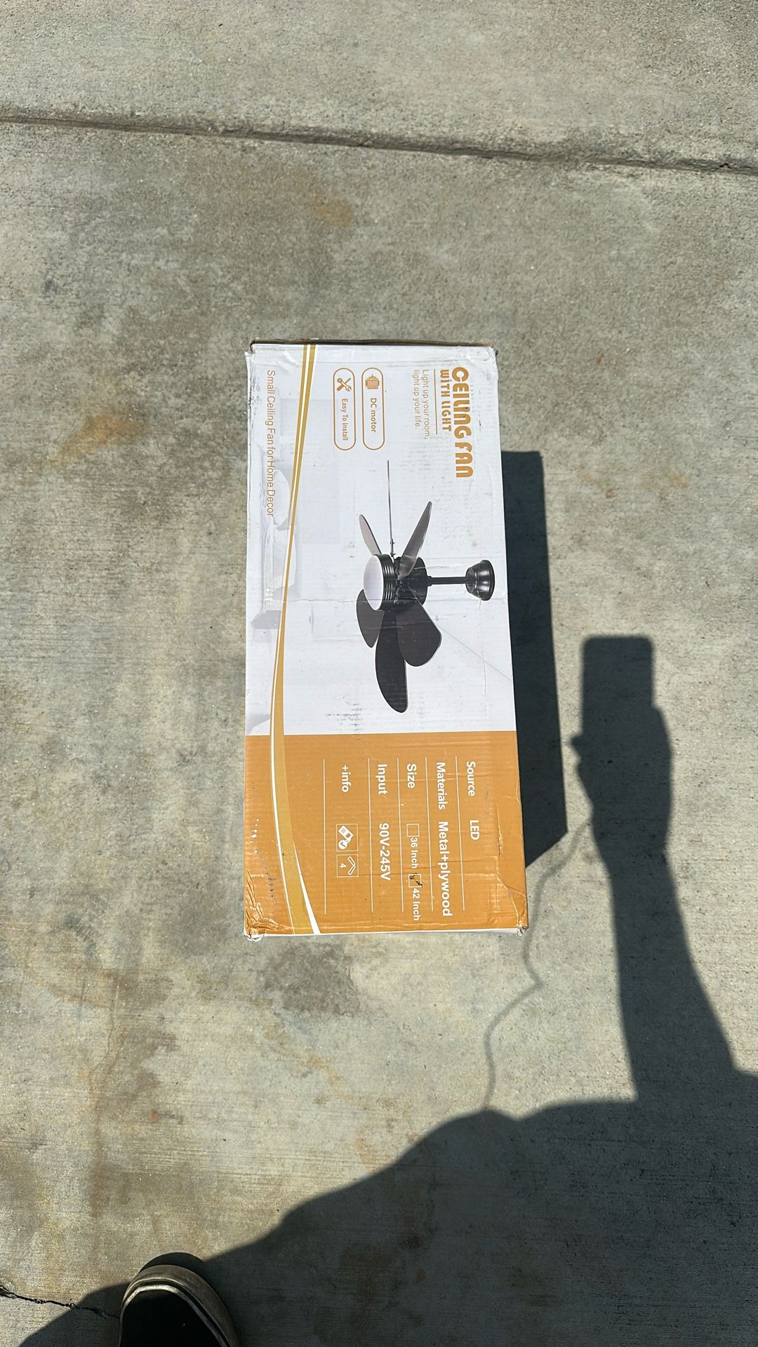 Ceiling Fan With Light