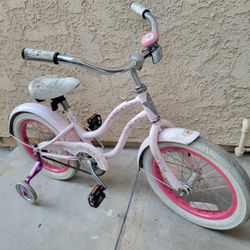 16"Training Wheel Cruiser 