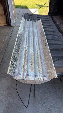 Fluorescent Shop light