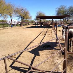Horse Stalls In Queen Creek