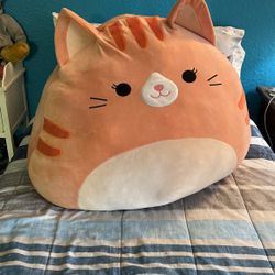 Children’s Plush Pillow