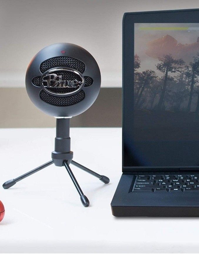 Gaming & Recording Mic