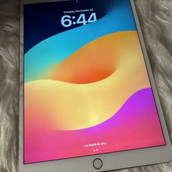 Apple iPad Pro 10.5 inch 256GB Wifi only ROSE GOLD with charger and cord