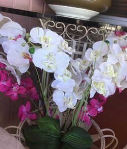 Home interiors decoration. Orquídeas cada espiga $10 es flor grande