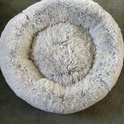 Dog Beds