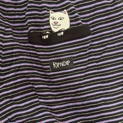 Rip N Dip Medium Shorts 