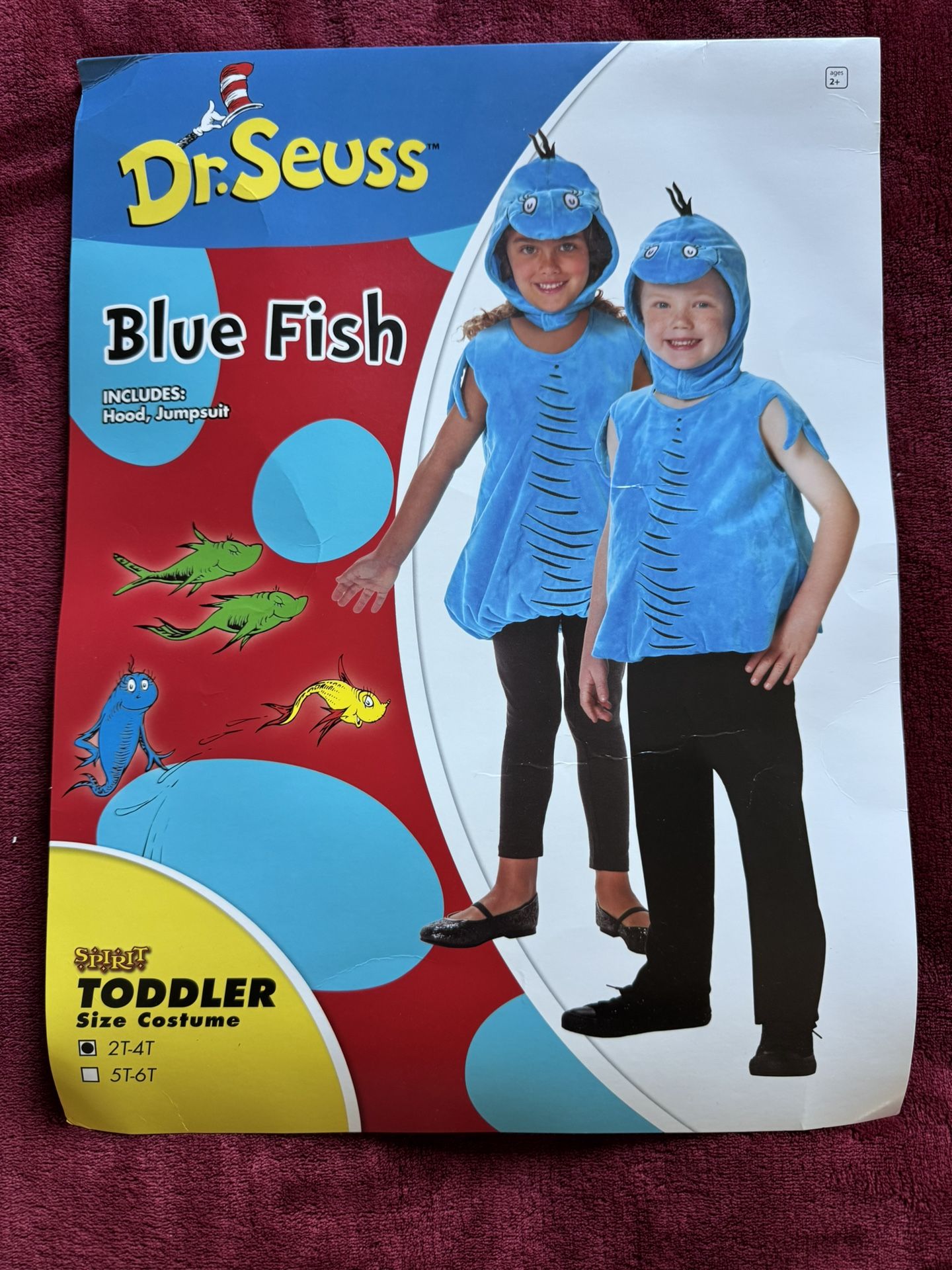 Halloween Costume Kids