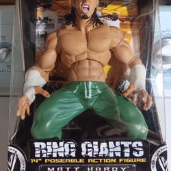 WWE RING GIANTS MATT & JEFF HARDY !!!
