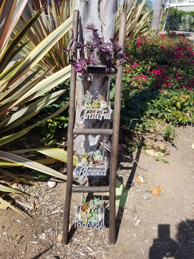 Unique ladder with a touch of succulents