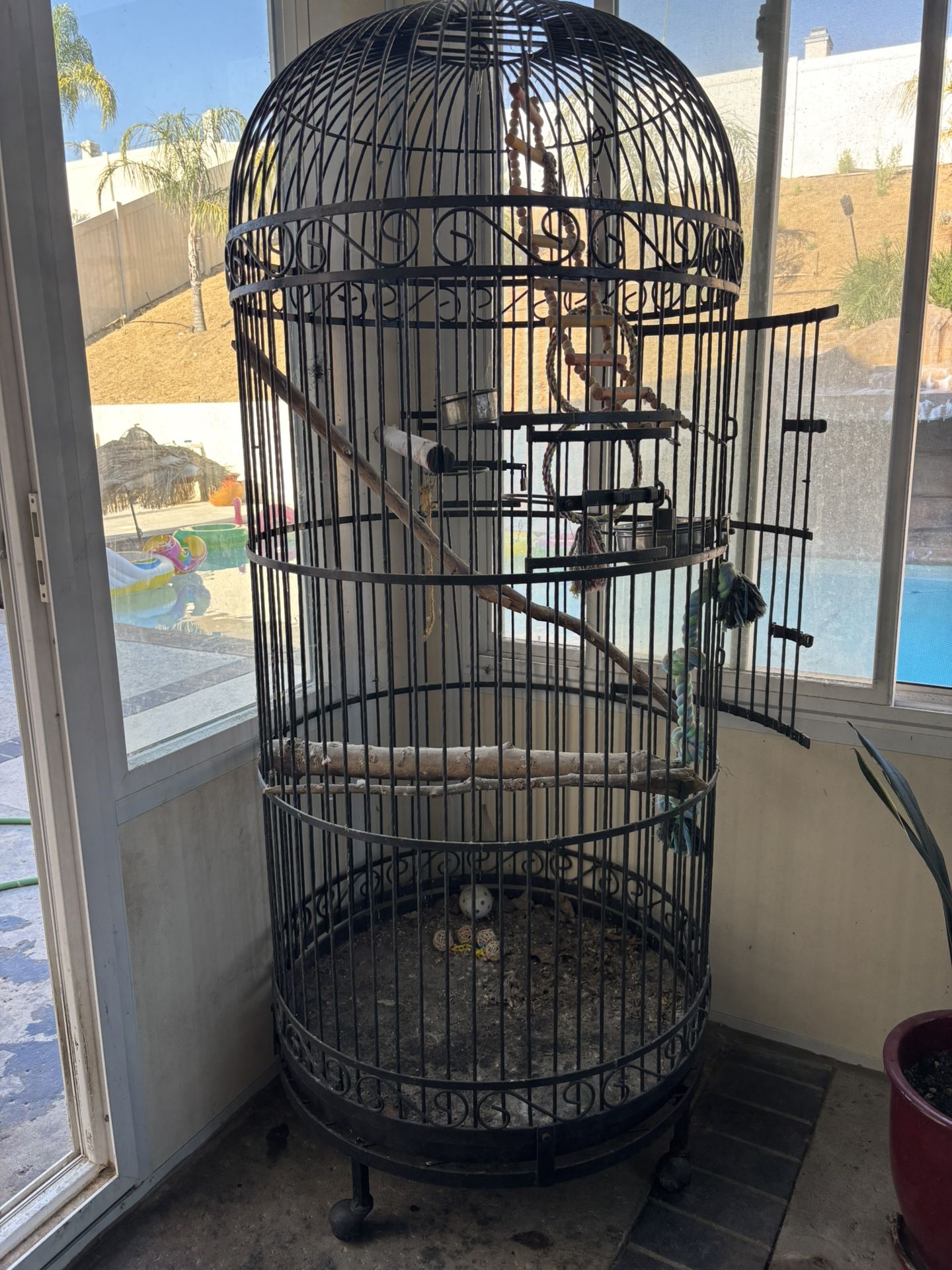 Giant Bird Cage 