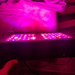 Vipar Spectra  300 Watt Led  Garden 