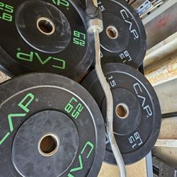 Bumper Plates And Curl Bar 