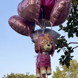 Paw Patrol Piñata With 6 Foil Balloons