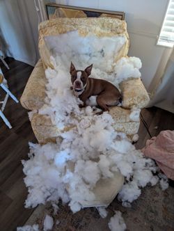 Free chair! 😁