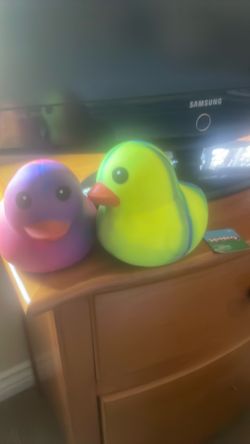 Ducks