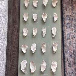 Oyster Wall Art